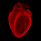 Image for article titled These Amazing Cardio Images Will Make Your Heart Race